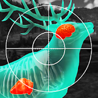 download Wild HuntSport Hunting Games.Jogo Caça Esporte 3D Apk Mod unlimited ammo