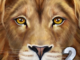 Ultimate Lion Simulator 2 apk mod