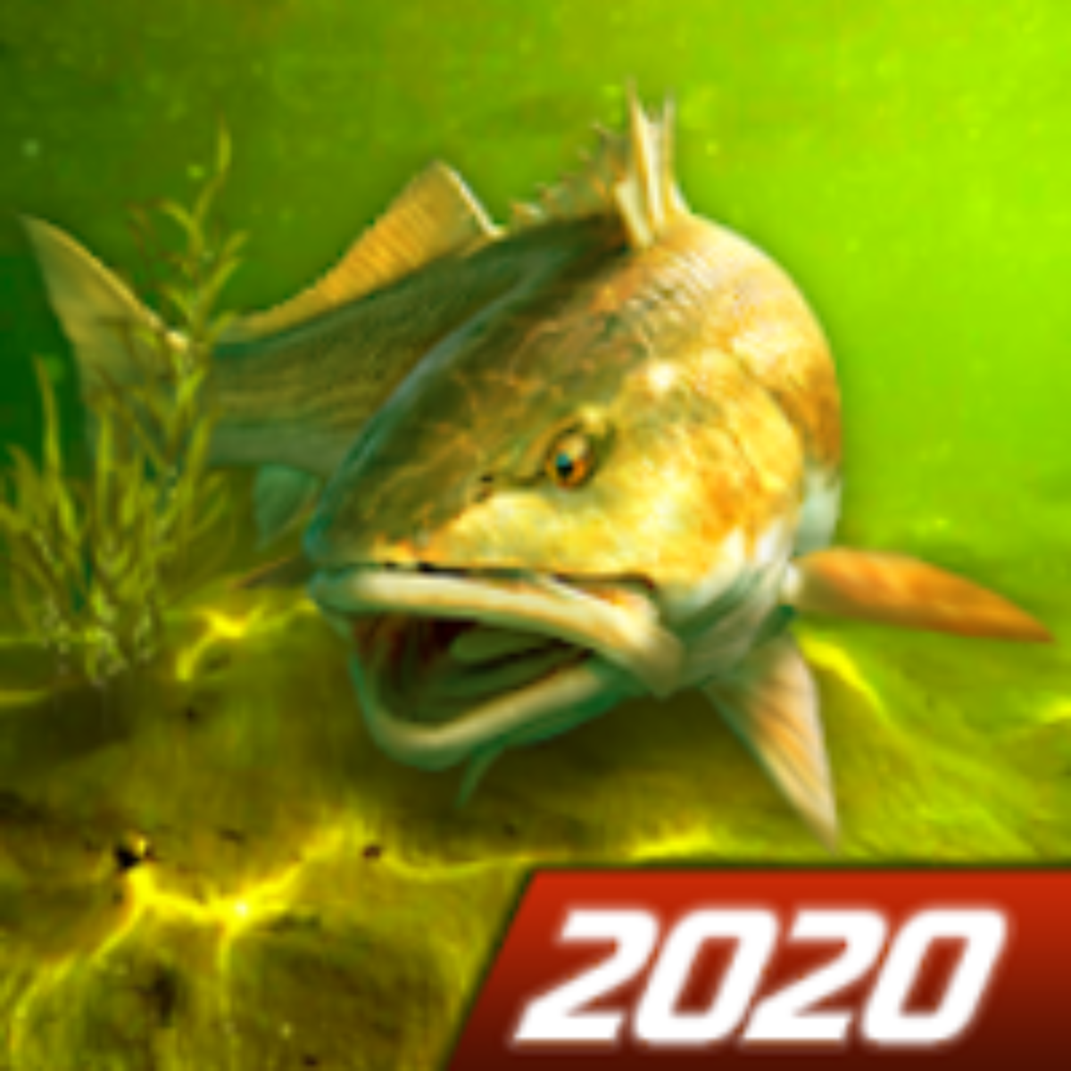 My Fishing World - Realistic fishing v1.15.109 Apk Mod (Dinheiro Infinito)  Download 2024 - Night Wolf Apk