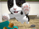 Cat Simulator - and friends apk mod