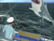 Fishing Game - Ship & Boat Simulator uCaptain mod apk