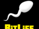 BitLife - Life Simulator apk mod