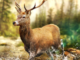 Hunting Clash Hunter Games - Shooting Simulator mod apk