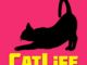 BitLife Cats CatLife mod apk dinheiro infinito mediafire