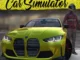 Car Simulator San Andreas apk mod